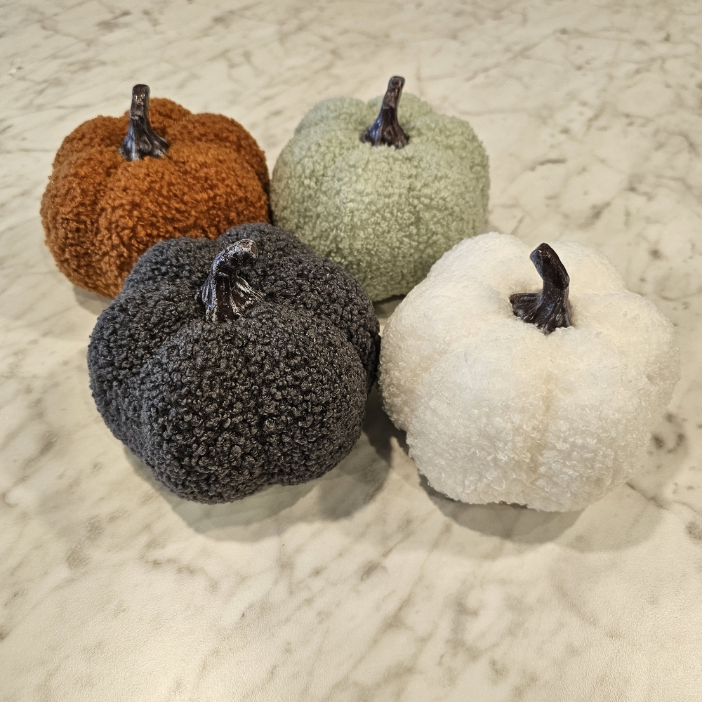 Sherpa Pumpkins Set of 4 Medium - Picture 11 of 13